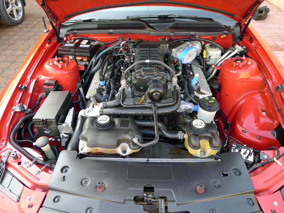 CAI installation and engine bay shine Detailing World Forum